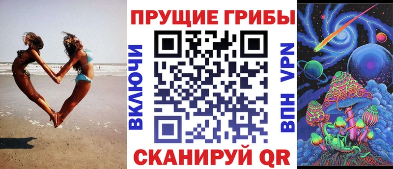 Псилоцибиновые грибы Psilocybe  Анива 