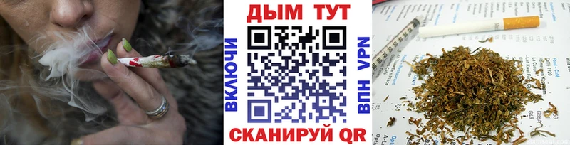 Бошки Шишки гибрид  Анива 